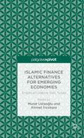 Islamic Finance Alternatives for Emerging Economies