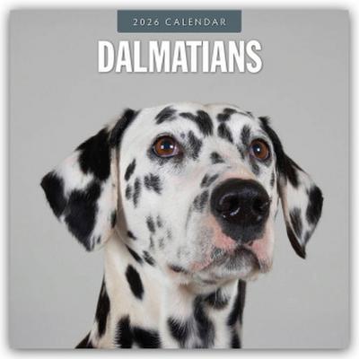 Dalmatians - Dalmatiner 2026 - 16-Monatskalender