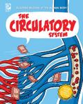 Circulatory System