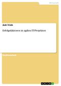 Erfolgsfaktoren in agilen IT-Projekten