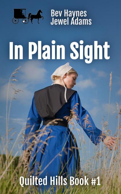 In Plain Sight (Quilted Hills, #1)