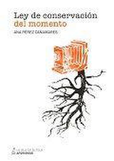 Ley de conservación del momento