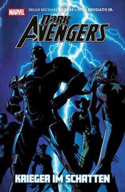 Dark Avengers: Krieger im Schatten (Pocket Edition)