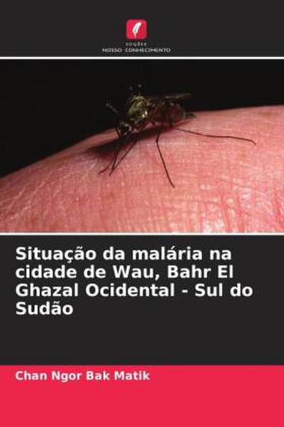 Situação da malária na cidade de Wau, Bahr El Ghazal Ocidental - Sul do Sudão