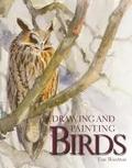 Drawing and Painting Birds Tim Wootton Author
