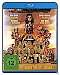 Homo Erectus
