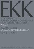 Evangelisch-Katholischer Kommentar zum Neuen Testament (EKK) Johannesoffenbarung. Tlbd.1
