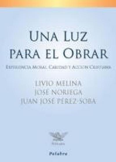Una luz para el obrar : experiencia moral, caridad y acción cristiana