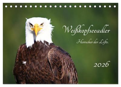 Weißkopfseeadler. Herrscher der Lüfte. 2026 (Tischkalender 2026 DIN A5 quer), CALVENDO Monatskalender