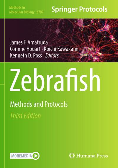 Zebrafish
