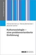 Kultursoziologie - eine problemorientierte Einführ