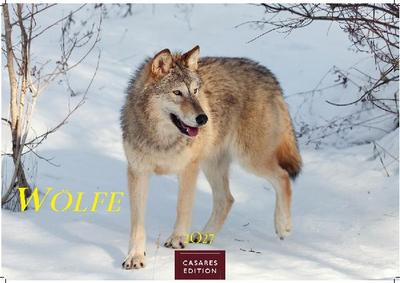 Wölfe Kalender 2027 - Wandkalender | Fotokalender Tierkalender 35x50cm Grosses Format - . mit faszinierenden Wolf-Motiven,. 