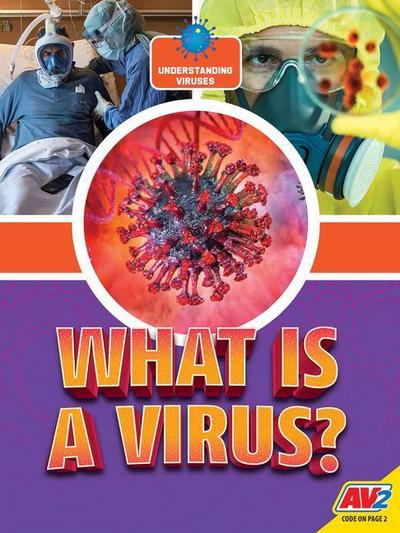What Is a Virus?
