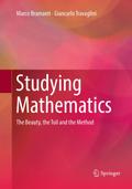 Studying Mathematics