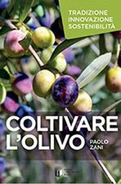 Coltivare l’olivo. Tradizione innovazione sostenibilità
