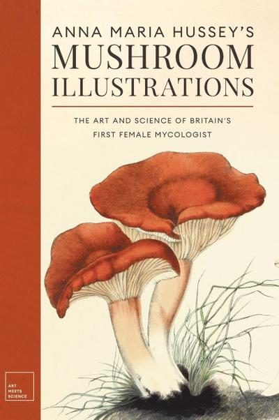 Anna Maria Hussey’s Mushroom Illustrations