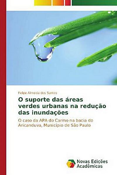 O suporte das áreas verdes urbanas na redução das inundações