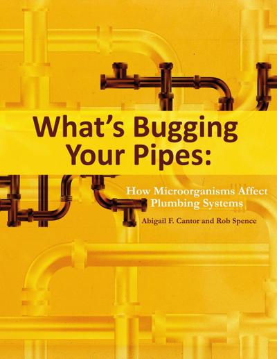 What’s Bugging Your Pipes