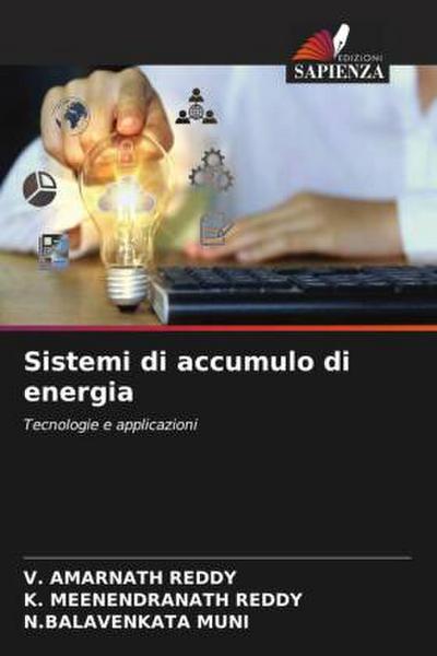 Sistemi di accumulo di energia
