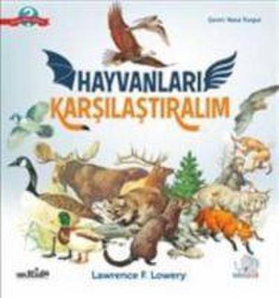Hayvanlari Karsilastiralim