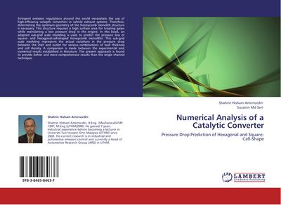 Numerical Analysis of a Catalytic Converter