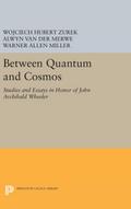 Between Quantum and Cosmos