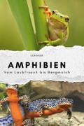 Amphibien