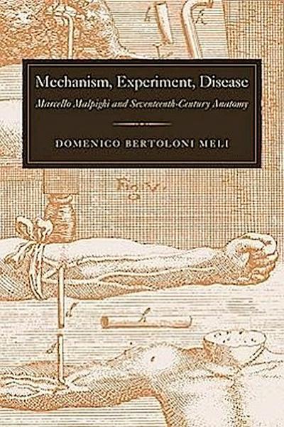 Mechanism, Experiment, Disease