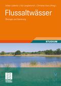 Flussaltwässer