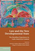 Law and the New Developmental State