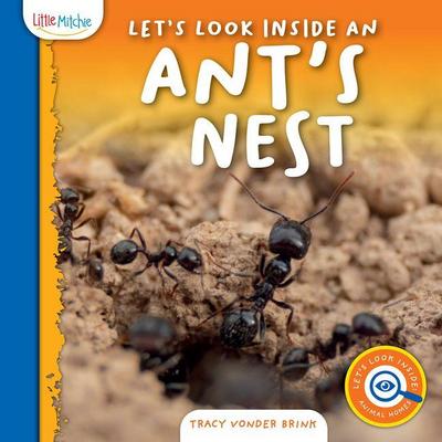 Let’s Look Inside an Ant’s Nest