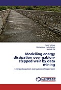 Modelling energy dissipation over gabion-stepped weir by data mining