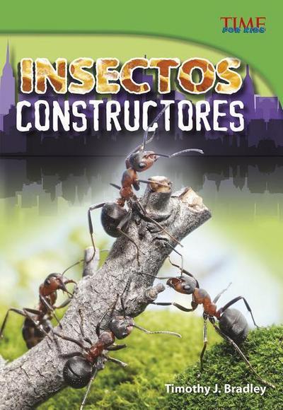 SPA-INSECTOS CONSTRUCTORES