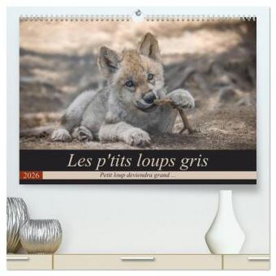 Les p’tits loups gris  (Calendrier mural 2026 DIN A2 vertical) calendrier de bureau