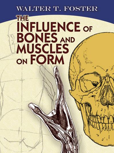 Influence of Bones and Muscles on Form