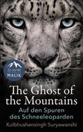 The Ghost of the Mountains