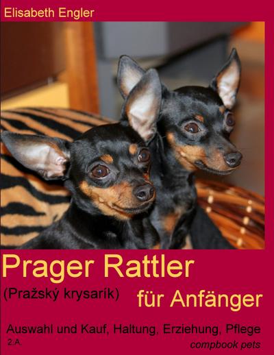 Prager Rattler (Pra¿ský krysarík) für Anfänger