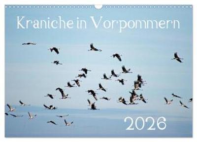 Kraniche in Vorpommern (Wandkalender 2026 DIN A3 quer), CALVENDO Monatskalender