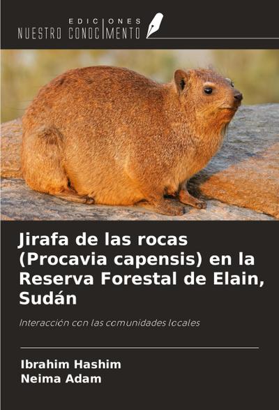 Jirafa de las rocas (Procavia capensis) en la Reserva Forestal de Elain, Sudán