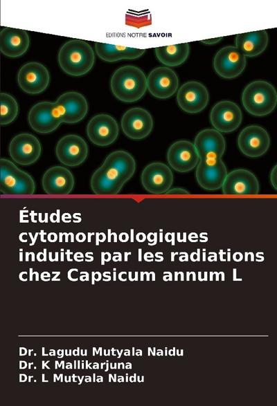 Études cytomorphologiques induites par les radiations chez Capsicum annum L