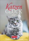 Katzenglück 2027