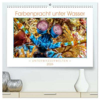 Farbenpracht unter Wasser (hochwertiger Premium Wandkalender 2026 DIN A2 quer), Kunstdruck in Hochglanz