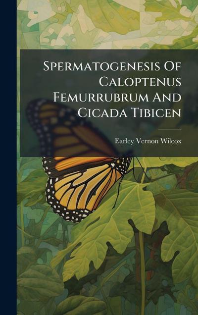 Spermatogenesis Of Caloptenus Femurrubrum And Cicada Tibicen