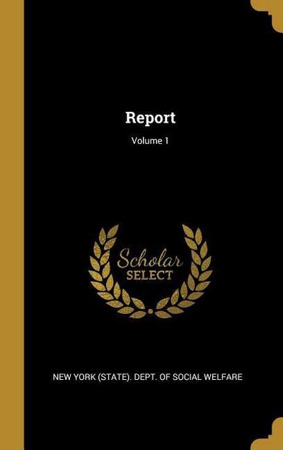 Report; Volume 1