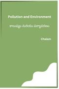Pollution and Environment