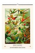 Ernst Haeckel. Kunstformen der Natur 2027