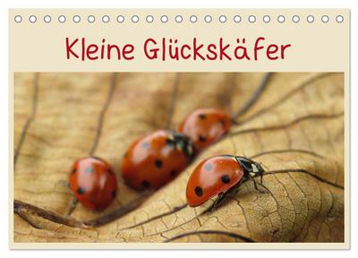 Kleine Glückskäfer (Tischkalender 2024 DIN A5 quer), CALVENDO Monatskalender