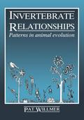 Invertebrate Relationships