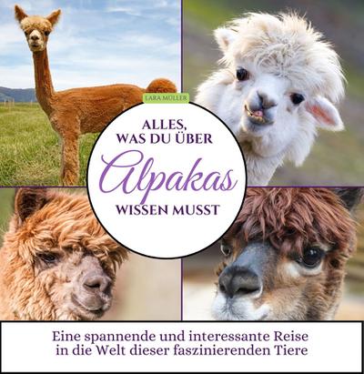 Alles, was du über Alpakas wissen musst