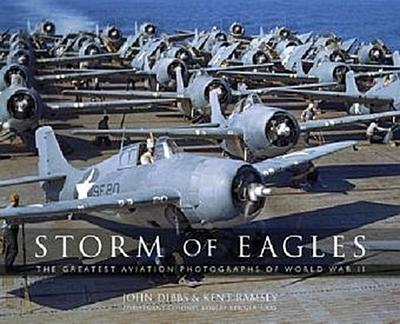 Storm of Eagles
